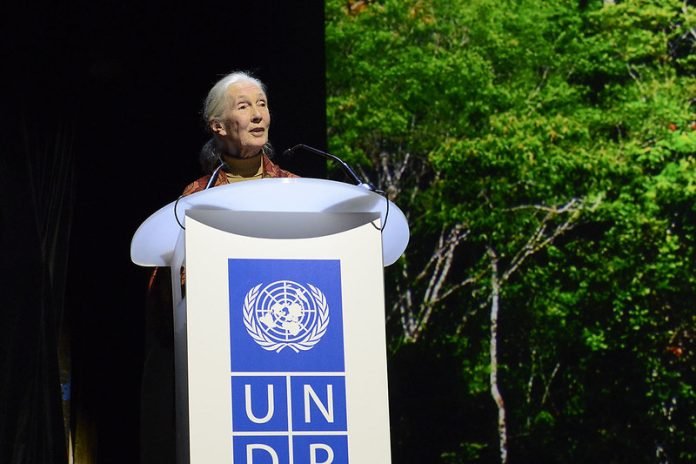 Equator Price with Alec Baldwin: Jane Goodall
