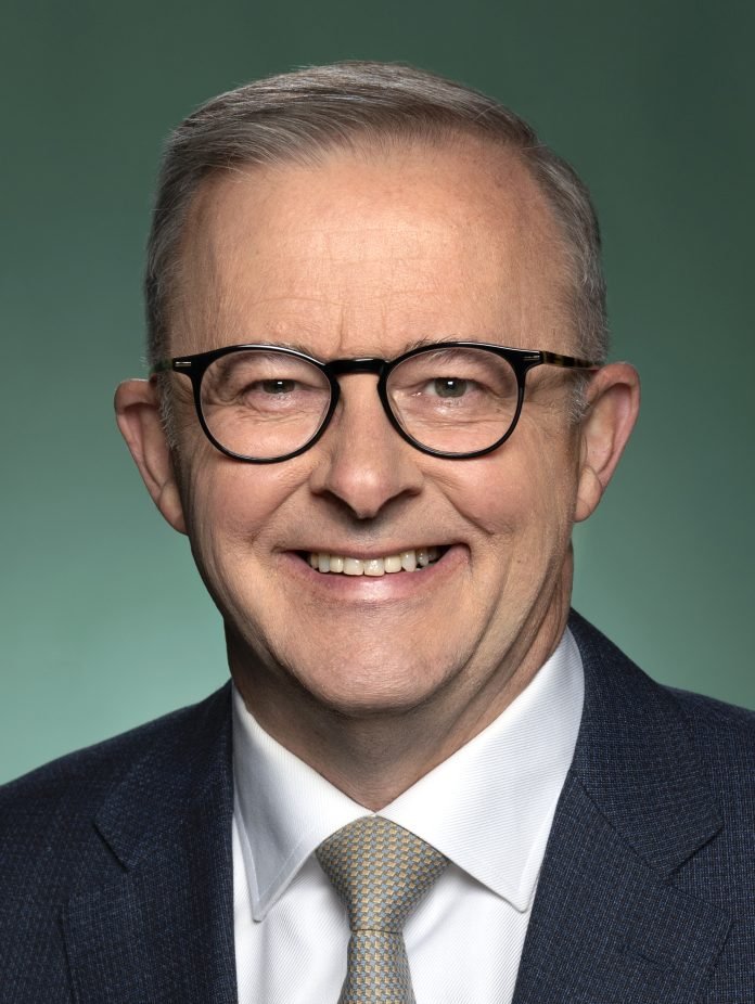 Hon Anthony Albanese MP, Federal Member for Grayndler Official Portrait