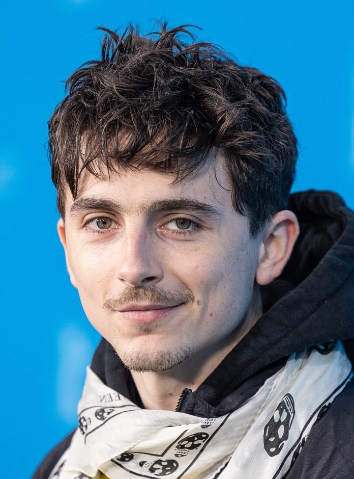 Timothée_Chalamet-63482_(cropped)