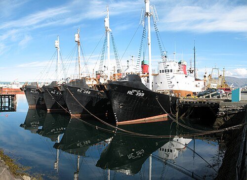 500px-Iceland_Reykjavík_Port_Whaling_Ships