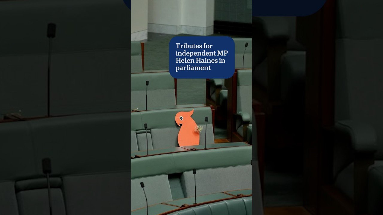 youtube placeholder image